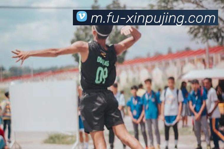 App Interface Preview