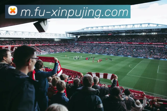 新葡京娱乐APP 封面图